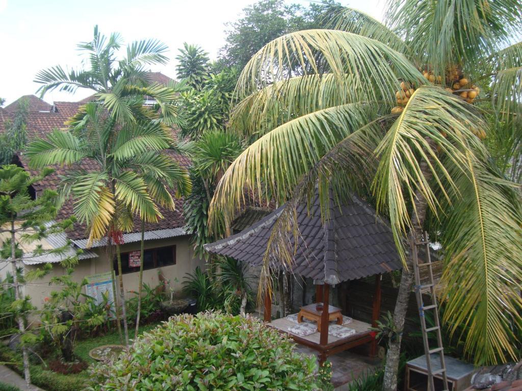 Gusti Home Stay Ubud المظهر الخارجي الصورة